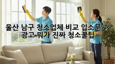 울산 남구 청소업체 비교🧹 입소문 vs 광고 뭐가 진짜? #청소꿀팁